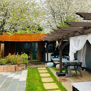 Tropical Style House Near Centre , Newcastle upon Tyne United Kingdom